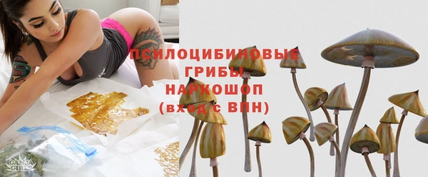 дурь Володарск