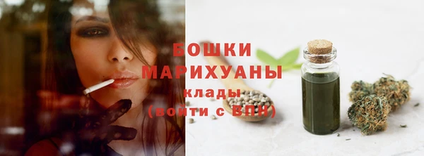 ПСИЛОЦИБИНОВЫЕ ГРИБЫ Верхнеуральск