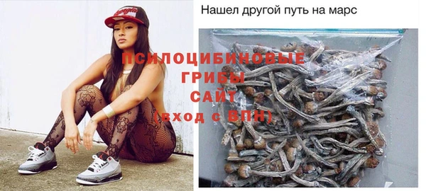 ПСИЛОЦИБИНОВЫЕ ГРИБЫ Верея
