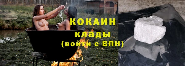 ПСИЛОЦИБИНОВЫЕ ГРИБЫ Верея